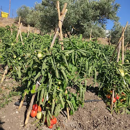 Pensjonat Castello Del Piraino - Nel Cuore Della Sicilia Santa Caterina Villarmosa